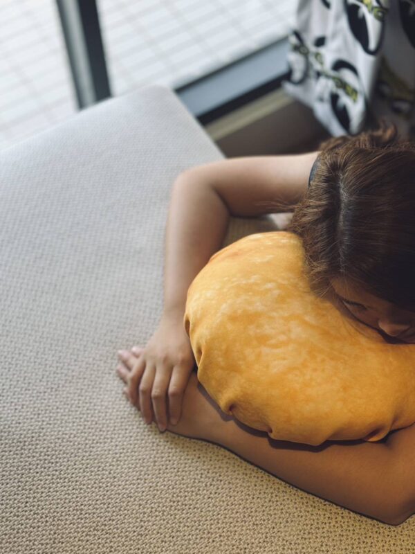 草包生煎午睡枕